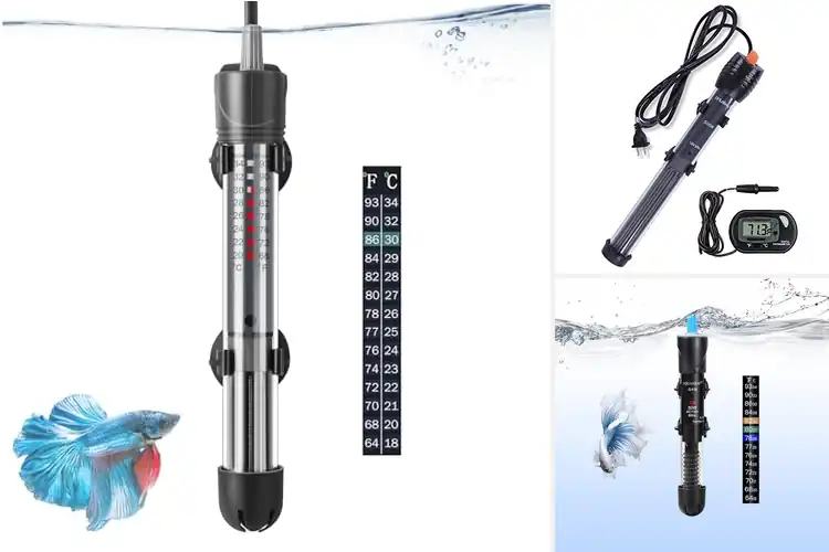 Detailed view of Best Adjustable Fish Tank Heaters