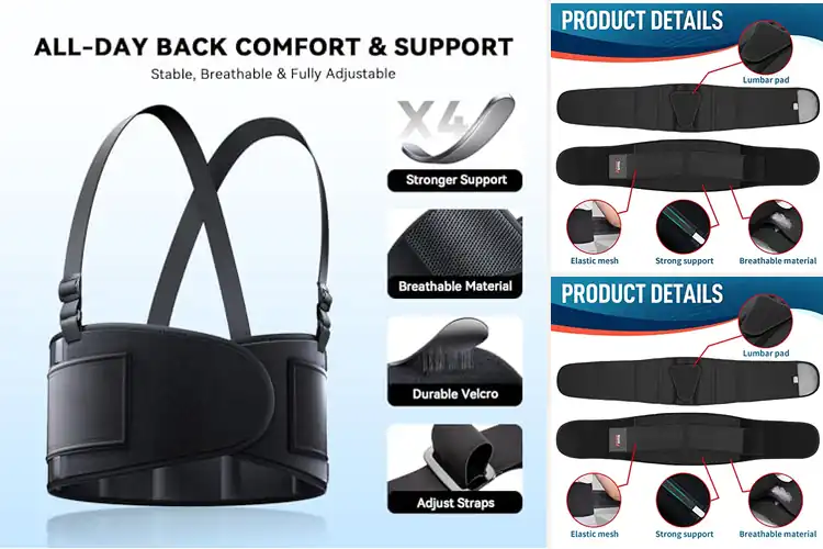 Detailed view of Best Back Supports For Heavy Lifting