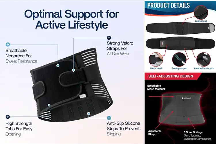 Detailed view of Best Daily Use Back Supports