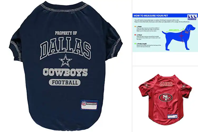 Detailed view of Best Football Dog Clothes: Sporty Styles Your Pup Will Love
