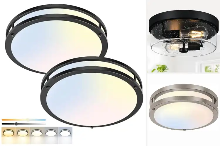 Detailed view of Best Hallway Ceiling Lights