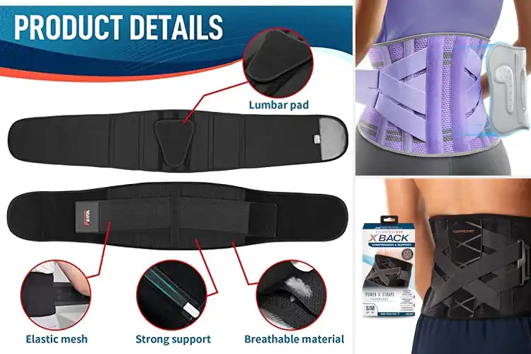 Detailed view of Best Herniated Disc Supports