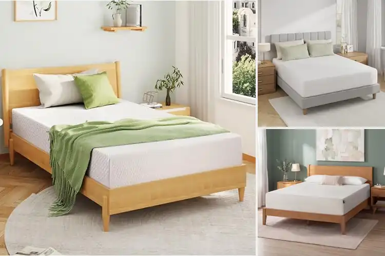 Detailed view of Best Memory Foam Mattresses
