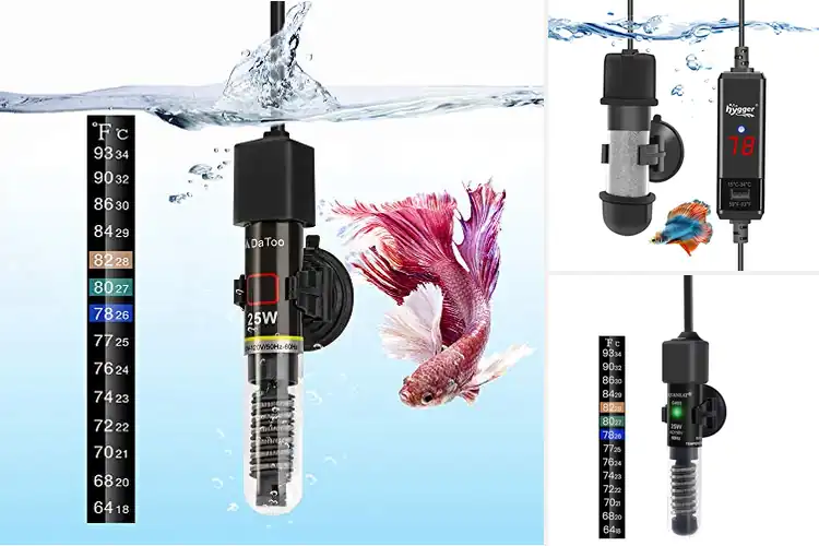 Detailed view of Best Mini Aquarium Heaters