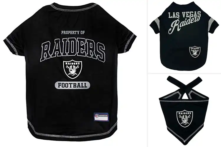 Detailed view of Best Raiders Dog Shirts: Stylish Comfort for Your Pup