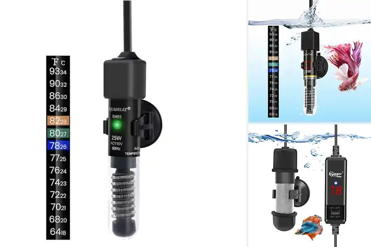 Detailed view of Best Small Aquarium Heaters