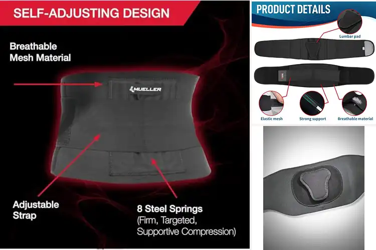 Detailed view of Best Sports Back Supports: Top 6 Picks for Comfort