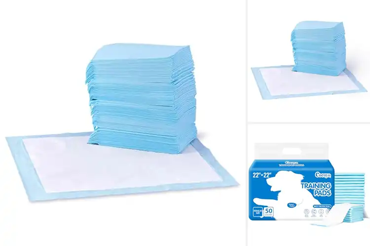 Detailed view of Best Training Pads