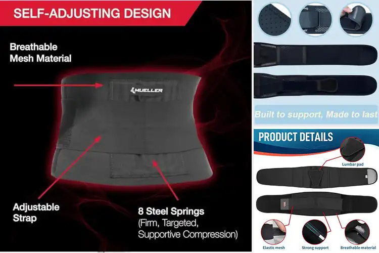 Detailed view of Best Workout Back Supports for Stronger, Safer Training